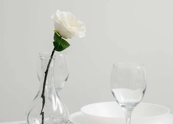 דירה Eleganckie I Stylowe Z Balkonem W Sosnowcu By Renters סוסנוביץ'