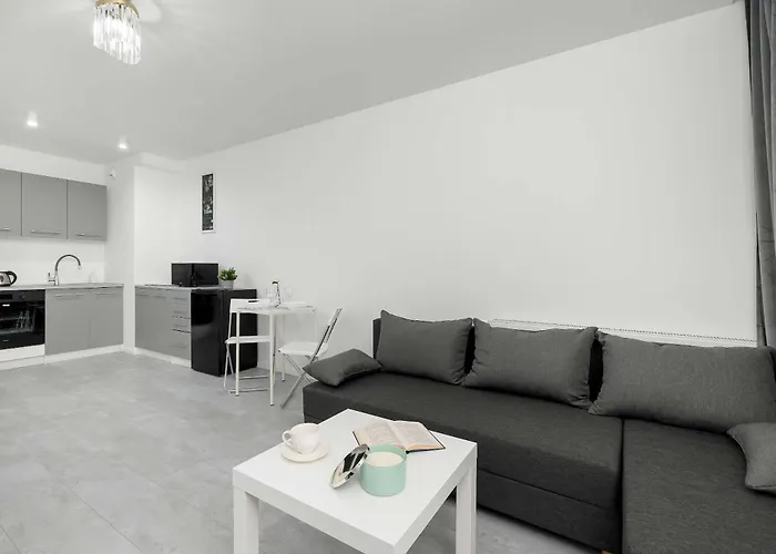 Eleganckie I Stylowe Z Balkonem W Sosnowcu By Renters *