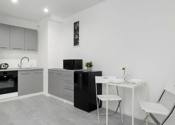 Eleganckie I Stylowe Z Balkonem W Sosnowcu By Renters *