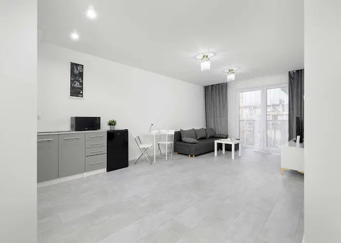 Eleganckie I Stylowe Z Balkonem W Sosnowcu By Renters דירה *