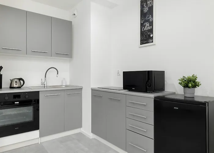 Eleganckie I Stylowe Z Balkonem W Sosnowcu By Renters סוסנוביץ'