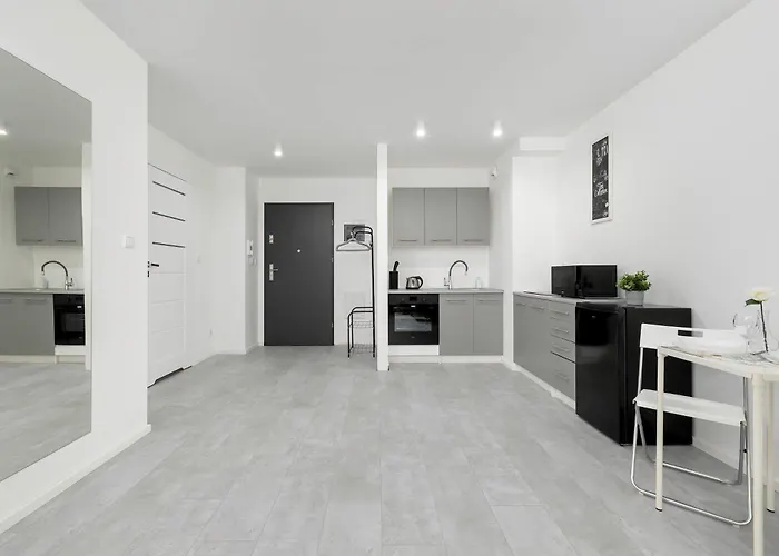 Eleganckie I Stylowe Z Balkonem W Sosnowcu By Renters * סוסנוביץ'